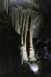 Ładnie oświetlony stalagnat o barwie biało żółtawej.